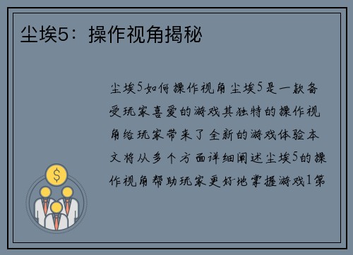 尘埃5：操作视角揭秘